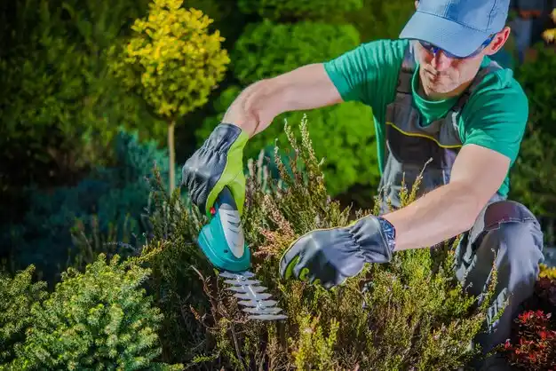 landscaping services Brasher Falls